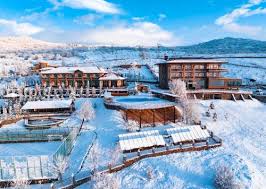 Amberd Tavern dining